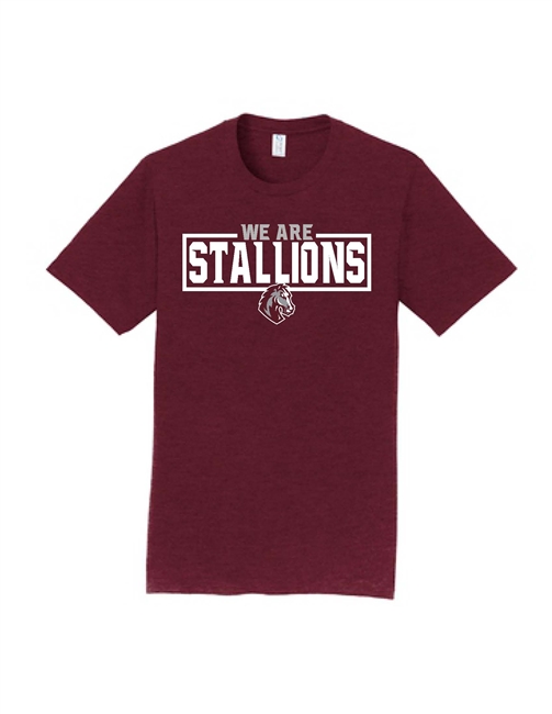 We Are Stallions Tee in Maroon